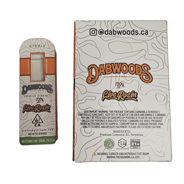 Dabwoods empty disposable vape 1g