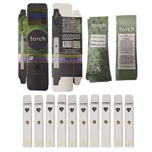 Torch empty disposable vape 2g