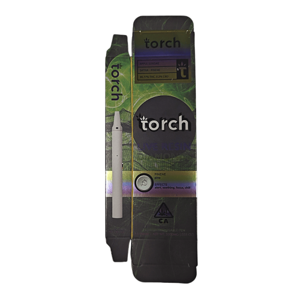 Torch empty disposable vape 2g