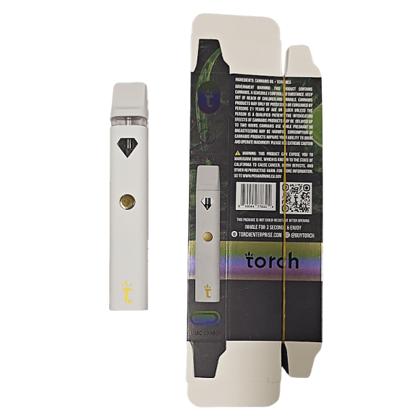 Torch empty disposable vape 2g