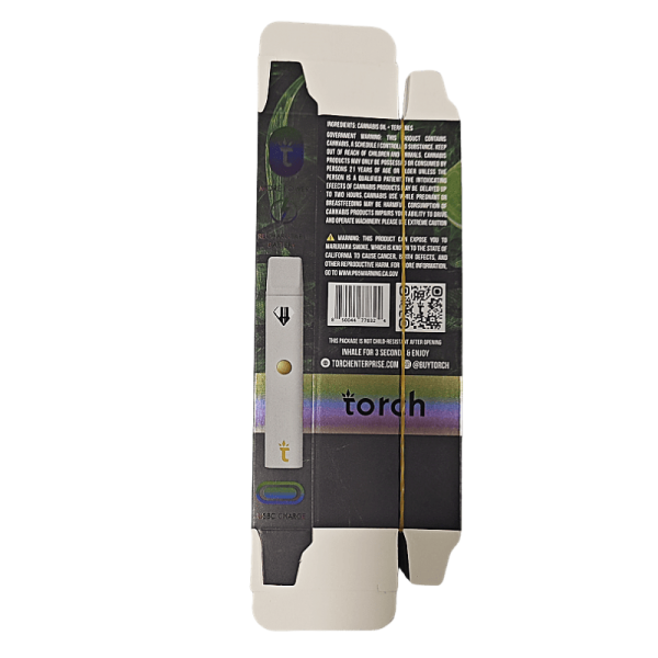 Torch empty disposable vape 2g